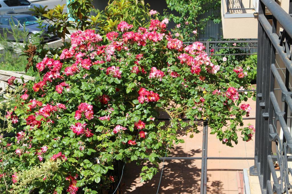 Flowers Apartments Nesebar Exteriér fotografie